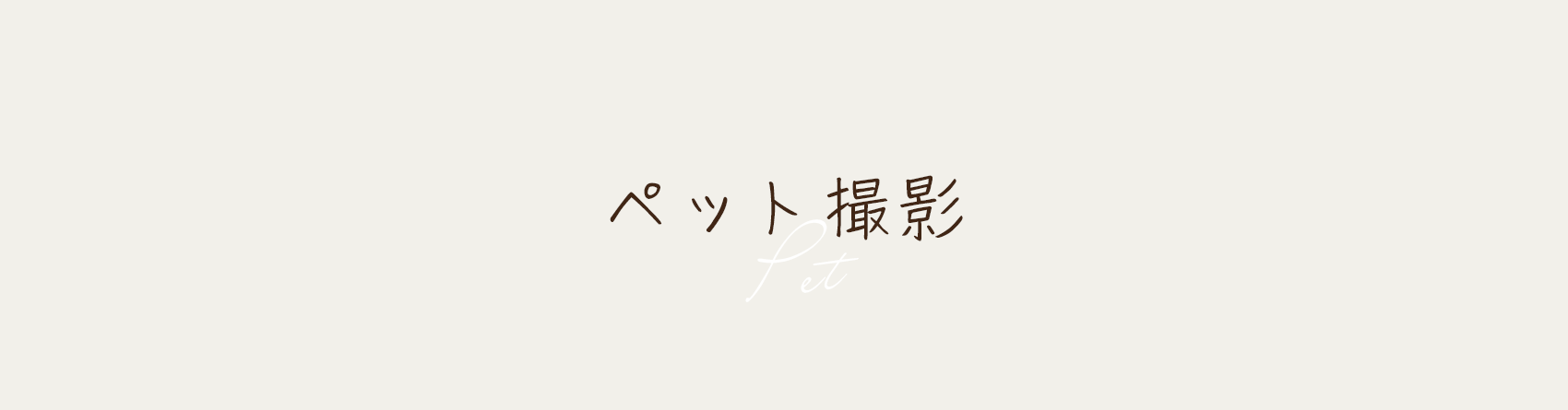 ペット撮影