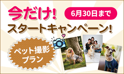 今だけ！スタートキャンペーン！ペット撮影プラン6月30日まで